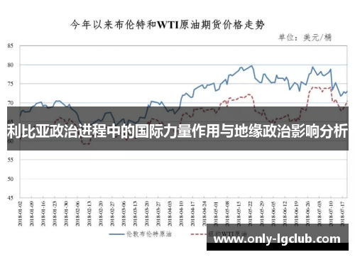 利比亚政治进程中的国际力量作用与地缘政治影响分析