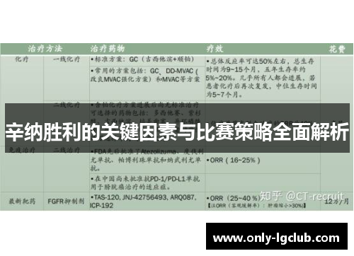辛纳胜利的关键因素与比赛策略全面解析