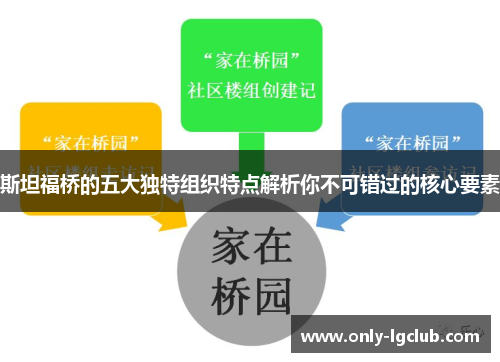 斯坦福桥的五大独特组织特点解析你不可错过的核心要素