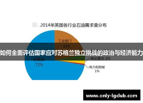 如何全面评估国家应对苏格兰独立挑战的政治与经济能力