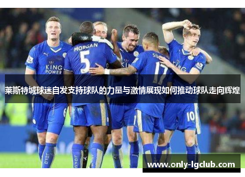 莱斯特城球迷自发支持球队的力量与激情展现如何推动球队走向辉煌 莱斯特城球迷自发支持球队的力量与激情展现如何推动球队走向辉煌