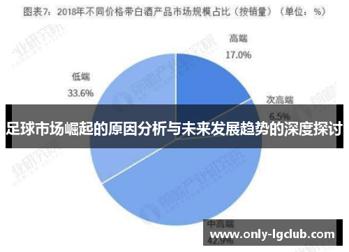 足球市场崛起的原因分析与未来发展趋势的深度探讨 足球市场崛起的原因分析与未来发展趋势的深度探讨