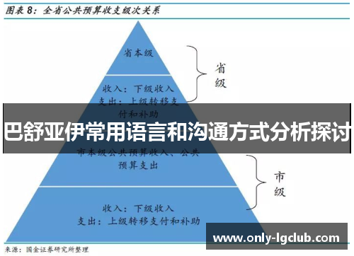 巴舒亚伊常用语言和沟通方式分析探讨