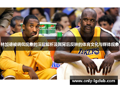 林加德被调侃现象的深层解析及其背后反映的体育文化与媒体现象