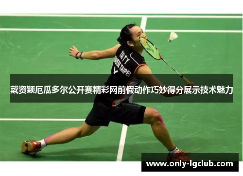 戴资颖厄瓜多尔公开赛精彩网前假动作巧妙得分展示技术魅力