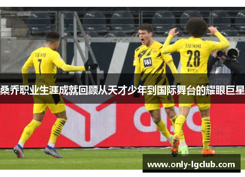 桑乔职业生涯成就回顾从天才少年到国际舞台的耀眼巨星 桑乔职业生涯成就回顾从天才少年到国际舞台的耀眼巨星