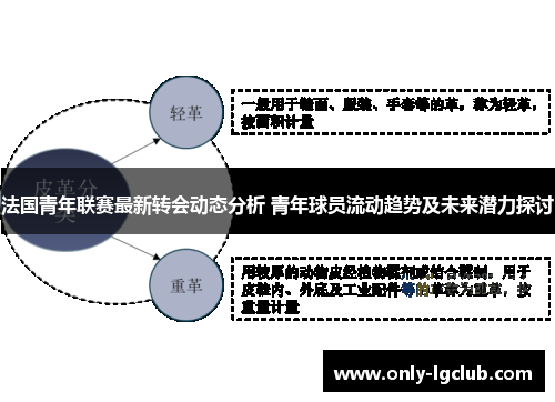法国青年联赛最新转会动态分析 青年球员流动趋势及未来潜力探讨 法国青年联赛最新转会动态分析 青年球员流动趋势及未来潜力探讨