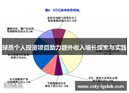 球员个人投资项目助力额外收入增长探索与实践